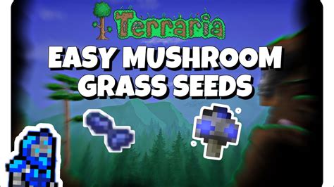 Mushroom grass seeds terraria - It's worth mentioning that since patch 1.2, Glowing Mushrooms can now grow above sea level. The way of planting them is the same - place some mud (made with dirt blocks while near water), plant …